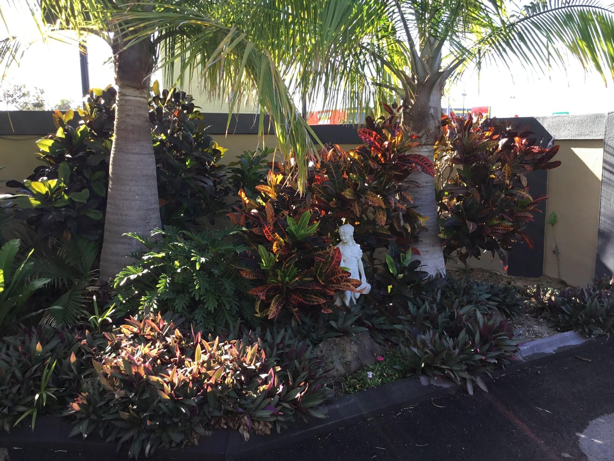 Golden Palms Motor Inn Bundaberg Buitenkant foto